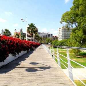 alquiler-por-semanas-valencia-puente-jardin